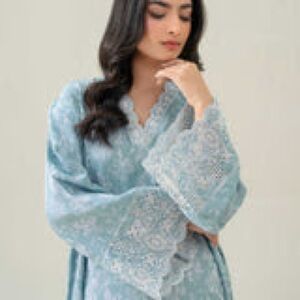 Limelight Embroidered Trim Kurta - Soft Blue L